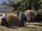 Haciendo la meda 